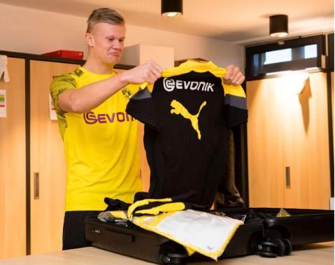 植物大战僵尸杂交版有ios版吗 植物大战僵尸杂交版怎么下载ios版